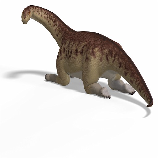 Camarasaurus 04 A_0001.jpg - giant dinosaur camasaurus With Clipping Path over white